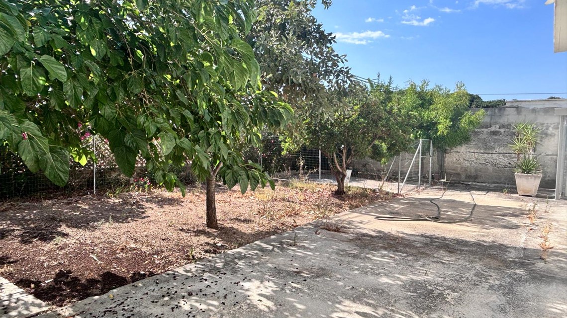 Foto 11