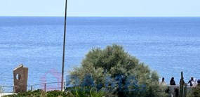 Foto 31