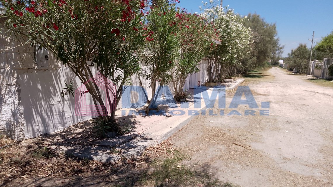 Foto 42