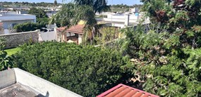 Foto 62